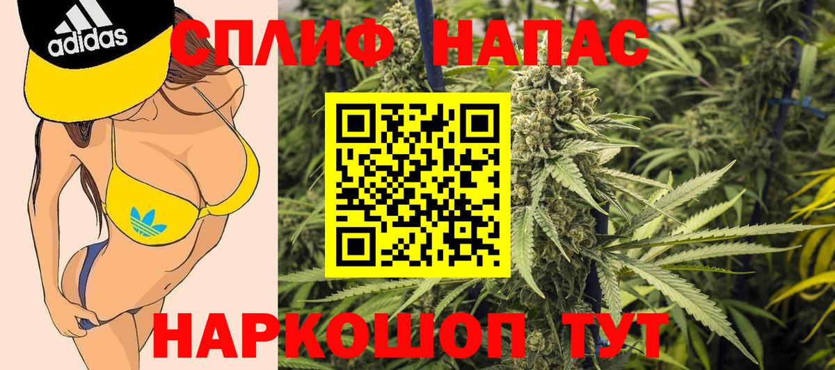 Бошки Шишки семена Острогожск